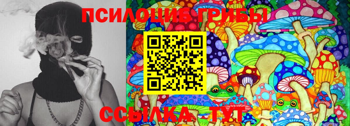Псилоцибиновые грибы Cubensis Керчь