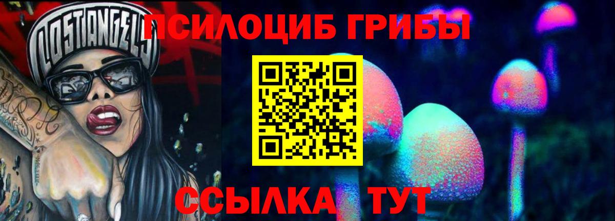 Керчь  Галлюциногенные грибы Psilocybe  Вход с VPN 